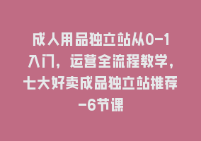 成人用品独立站从0-1入门，运营全流程教学，七大好卖成品独立站推荐-6节课868网课-868网课系统868网课系统