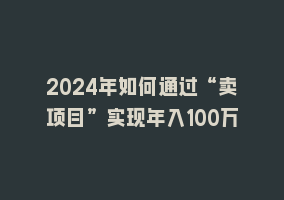 2024年如何通过“卖项目”实现年入100万868网课-868网课系统868网课系统