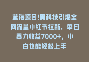 蓝海项目!黑科技引爆全网流量小红书拉新，单日暴力收益7000+，小白也能轻松上手868网课-868网课系统868网课系统