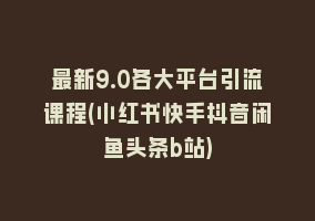 最新9.0各大平台引流课程(小红书快手抖音闲鱼头条b站)868网课-868网课系统868网课系统