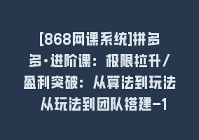 [868网课系统]拼多多·进阶课：极限拉升/盈利突破：从算法到玩法 从玩法到团队搭建-18节868网课-868网课系统868网课系统