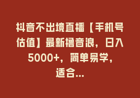 抖音不出境直播【手机号估值】最新撸音浪，日入5000+，简单易学，适合…868网课-868网课系统868网课系统