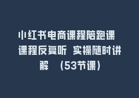 小红书电商课程陪跑课 课程反复听 实操随时讲解 （53节课）868网课-868网课系统868网课系统