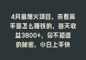 4月最爆火项目，来看高手是怎么赚钱的，每天收益3800+，你不知道的秘密，小白上手快868网课-868网课系统868网课系统