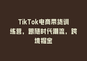 TikTok电商带货训练营，跟随时代潮流，跨境掘金868网课-868网课系统868网课系统