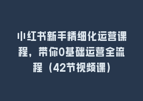 小红书新手精细化运营课程，带你0基础运营全流程（42节视频课）868网课-868网课系统868网课系统