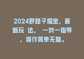 2024野路子掘金，最新玩 法， 一对一指导，操作简单无脑。868网课-868网课系统868网课系统