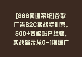 [868网课系统]谷歌广告B2C实战特训营，500+谷歌账户经验，实战演示从0-1搭建广告账户868网课-868网课系统868网课系统