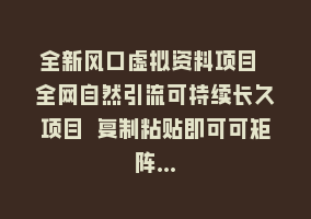 全新风口虚拟资料项目 全网自然引流可持续长久项目 复制粘贴即可可矩阵…868网课-868网课系统868网课系统