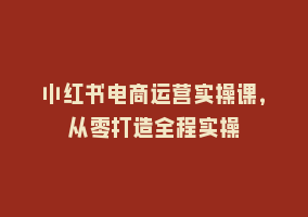 小红书电商运营实操课，从零打造全程实操868网课-868网课系统868网课系统