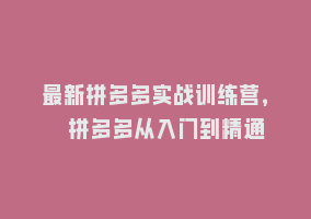 最新拼多多实战训练营， 拼多多从入门到精通868网课-868网课系统868网课系统