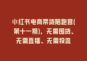 小红书电商带货陪跑营(第十一期)，无需囤货、无需直播、无需投流868网课-868网课系统868网课系统