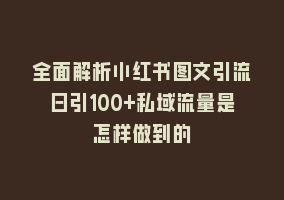 全面解析小红书图文引流日引100+私域流量是怎样做到的868网课-868网课系统868网课系统