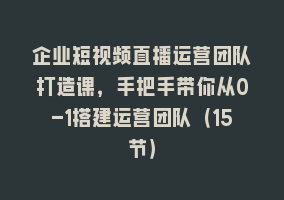 企业短视频直播运营团队打造课，手把手带你从0-1搭建运营团队（15节）868网课-868网课系统868网课系统