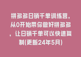 拼多多日销千单训练营，从0开始带你做好拼多多，让日销千单可以快速复制(更新24年5月)868网课-868网课系统868网课系统