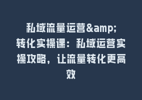 私域流量运营&转化实操课：私域运营实操攻略，让流量转化更高效868网课-868网课系统868网课系统