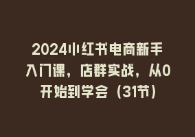 2024小红书电商新手入门课，店群实战，从0开始到学会（31节）868网课-868网课系统868网课系统