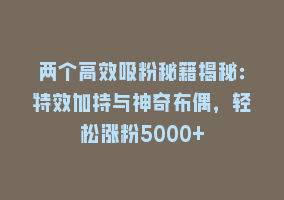 两个高效吸粉秘籍揭秘：特效加持与神奇布偶，轻松涨粉5000+868网课-868网课系统868网课系统