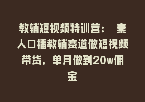 教辅短视频特训营： 素人口播教辅赛道做短视频带货，单月做到20w佣金868网课-868网课系统868网课系统