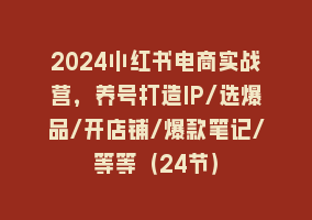 2024小红书电商实战营，养号打造IP/选爆品/开店铺/爆款笔记/等等（24节）868网课-868网课系统868网课系统