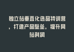 独立站垂直化选品特训营，打造产品壁垒，提升网站利润868网课-868网课系统868网课系统