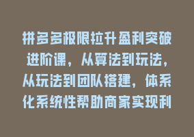 拼多多极限拉升盈利突破进阶课，从算法到玩法，从玩法到团队搭建，体系化系统性帮助商家实现利润提升868网课-868网课系统868网课系统