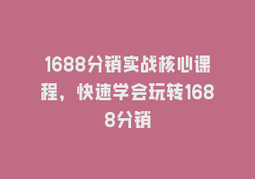 1688分销实战核心课程，快速学会玩转1688分销868网课-868网课系统868网课系统