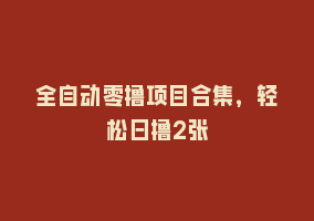 全自动零撸项目合集，轻松日撸2张868网课-868网课系统868网课系统