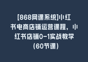 [868网课系统]小红书电商店铺运营课程，小红书店铺0-1实战教学（60节课）868网课-868网课系统868网课系统