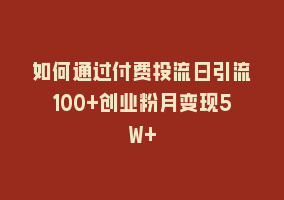 如何通过付费投流日引流100+创业粉月变现5W+868网课-868网课系统868网课系统