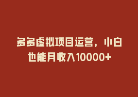 多多虚拟项目运营，小白也能月收入10000+868网课-868网课系统868网课系统