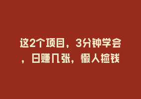 这2个项目，3分钟学会，日赚几张，懒人捡钱868网课-868网课系统868网课系统