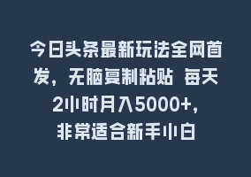 今日头条最新玩法全网首发，无脑复制粘贴 每天2小时月入5000+，非常适合新手小白868网课-868网课系统868网课系统