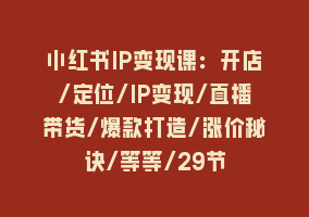 小红书IP变现课：开店/定位/IP变现/直播带货/爆款打造/涨价秘诀/等等/29节868网课-868网课系统868网课系统