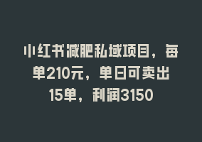 小红书减肥私域项目，每单210元，单日可卖出15单，利润3150868网课-868网课系统868网课系统