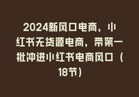 2024新风口电商，小红书无货源电商，带第一批冲进小红书电商风口（18节）868网课-868网课系统868网课系统