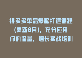 拼多多单品爆款打造课程(更新6月)，充分应用你的流量，增长实战培训868网课-868网课系统868网课系统