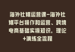 海外社媒运营课-海外社媒平台操作和运营、跨境电商基础实操知识，理论+演练全流程868网课-868网课系统868网课系统