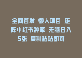 全网首发 懒人项目 矩阵小红书种草 无脑日入5张 复制粘贴即可868网课-868网课系统868网课系统