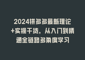 2024拼多多最新理论+实操干货，从入门到精通全链路多角度学习868网课-868网课系统868网课系统