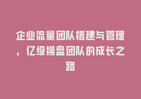 企业流量团队搭建与管理，亿级操盘团队的成长之路868网课-868网课系统868网课系统