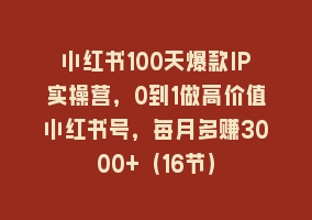 小红书100天爆款IP实操营，0到1做高价值小红书号，每月多赚3000+（16节）868网课-868网课系统868网课系统