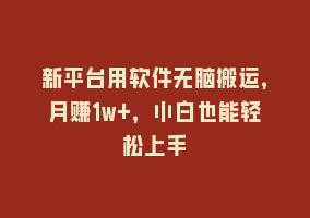 新平台用软件无脑搬运，月赚1w+，小白也能轻松上手868网课-868网课系统868网课系统