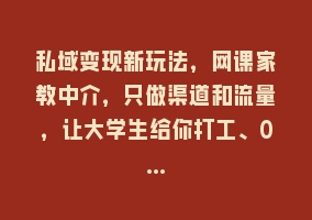 私域变现新玩法，网课家教中介，只做渠道和流量，让大学生给你打工、0…868网课-868网课系统868网课系统