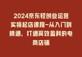 2024京东轻创业运营实操起店课程-从入门到精通，打通高效盈利的电商店铺868网课-868网课系统868网课系统