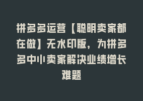 拼多多运营【聪明卖家都在做】无水印版，为拼多多中小卖家解决业绩增长难题868网课-868网课系统868网课系统