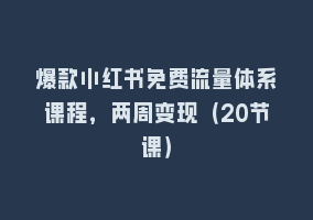 爆款小红书免费流量体系课程，两周变现（20节课）868网课-868网课系统868网课系统