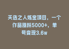 天选之人炼金项目，一个作品涨粉5000+，单号变现3.6w868网课-868网课系统868网课系统