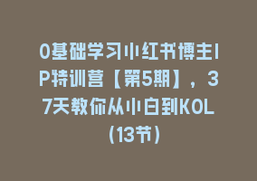 0基础学习小红书博主IP特训营【第5期】，37天教你从小白到KOL（13节）868网课-868网课系统868网课系统