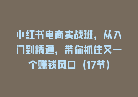 小红书电商实战班，从入门到精通，带你抓住又一个赚钱风口（17节）868网课-868网课系统868网课系统